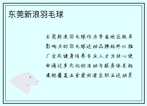 东莞新浪羽毛球
